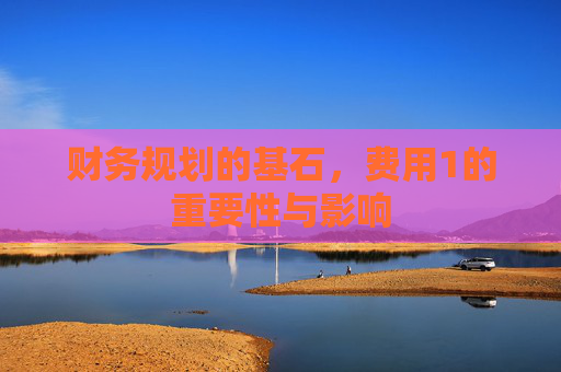 财务规划的基石，费用1的重要性与影响