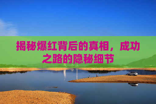 揭秘爆红背后的真相，成功之路的隐秘细节