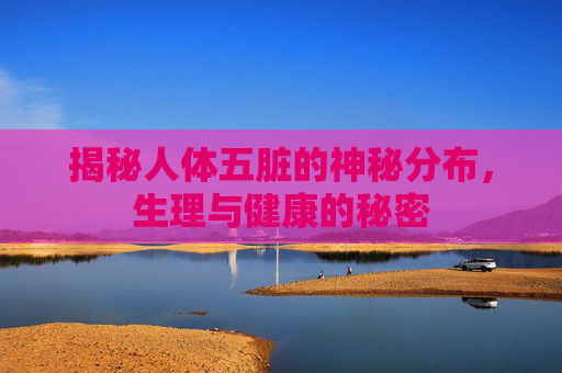 揭秘人体五脏的神秘分布，生理与健康的秘密