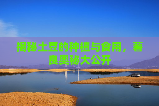 揭秘土豆的种植与食用,薯良奥秘大公开 揭秘土豆的种植与食用,薯良奥秘大公开
