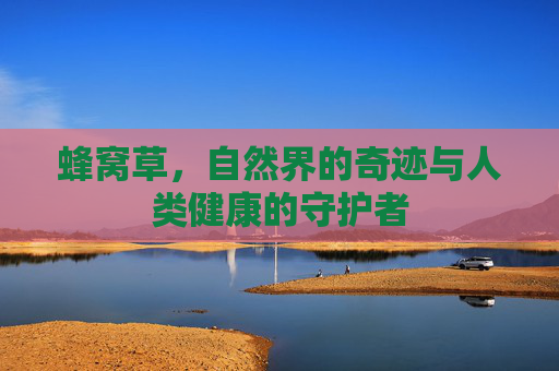 蜂窝草,自然界的奇迹与人类健康的守护者 蜂窝草,自然界的奇迹与人类健康的守护者