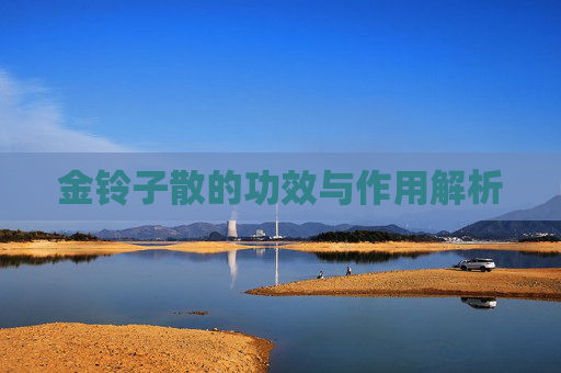金铃子散的功效与作用解析 金铃子散的功效与作用解析