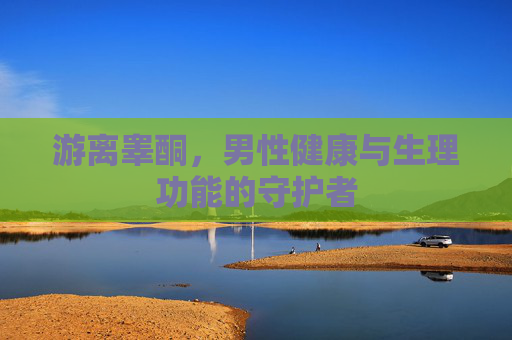 游离睾酮，男性健康与生理功能的守护者