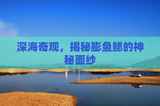 深海奇观，揭秘膨鱼鳃的神秘面纱