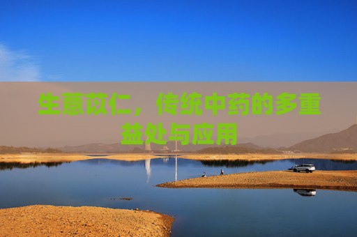 生薏苡仁，传统中药的多重益处与应用
