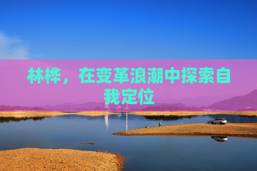 林桦，在变革浪潮中探索自我定位