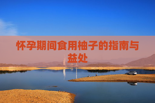 怀孕期间食用柚子的指南与益处