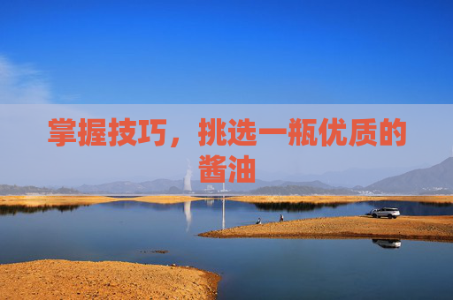 掌握技巧,挑选一瓶优质的酱油 掌握技巧,挑选一瓶优质的酱油