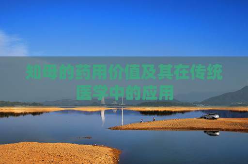 知母的药用价值及其在传统医学中的应用