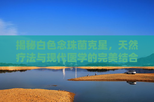 揭秘白色念珠菌克星,天然疗法与现代医学的完美结合 揭秘白色念珠菌克星,天然疗法与现代医学的完美结合