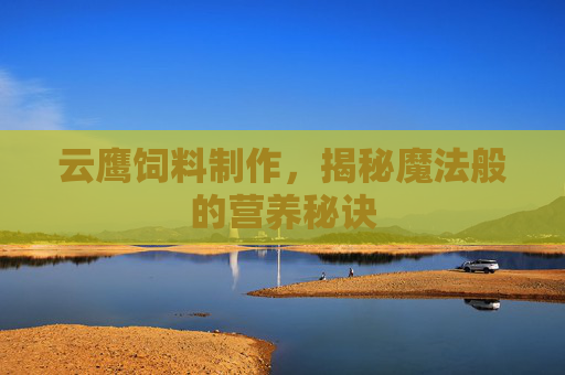 云鹰饲料制作，揭秘魔法般的营养秘诀