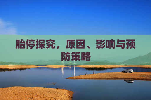 胎停探究，原因、影响与预防策略
