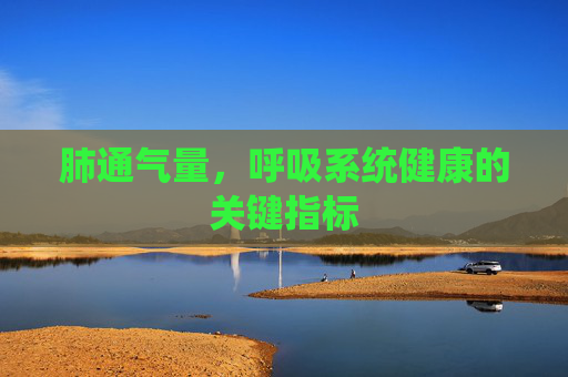 肺通气量,呼吸系统健康的关键指标 肺通气量,呼吸系统健康的关键指标