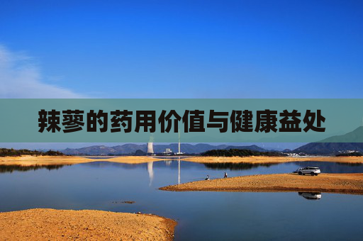 辣蓼的药用价值与健康益处 辣蓼的药用价值与健康益处