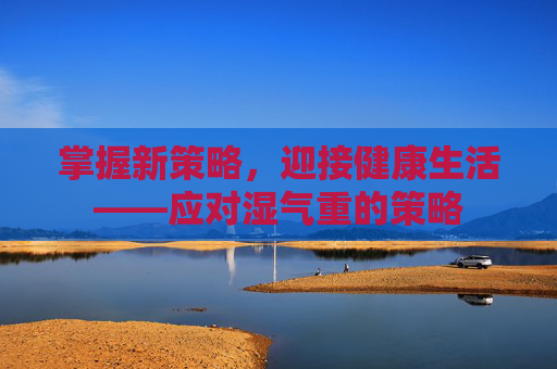 掌握新策略,迎接健康生活——应对湿气重的策略 掌握新策略,迎接健康生活——应对湿气重的策略