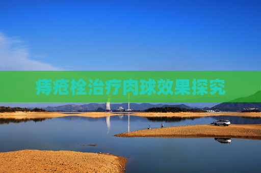 痔疮栓治疗肉球效果探究 痔疮栓治疗肉球效果探究