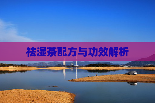 祛湿茶配方与功效解析