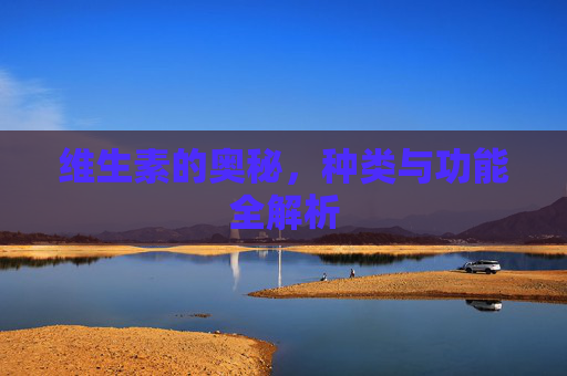 维生素的奥秘，种类与功能全解析