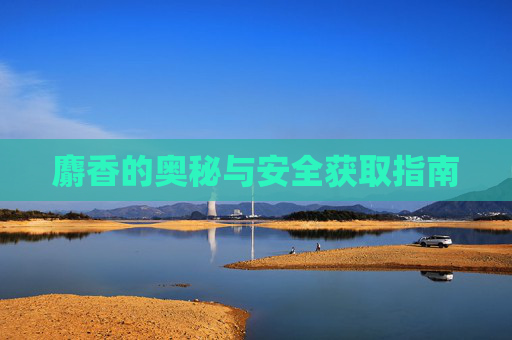 麝香的奥秘与安全获取指南 麝香的奥秘与安全获取指南