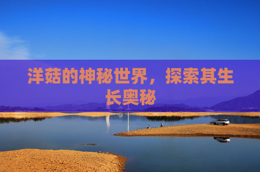 洋菇的神秘世界,探索其生长奥秘 洋菇的神秘世界,探索其生长奥秘