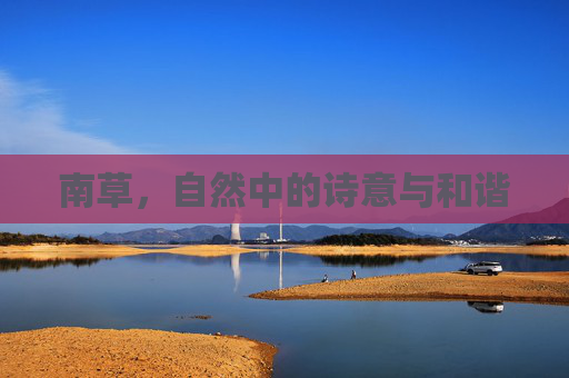 南草,自然中的诗意与和谐 南草,自然中的诗意与和谐