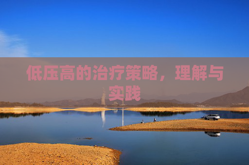 低压高的治疗策略，理解与实践
