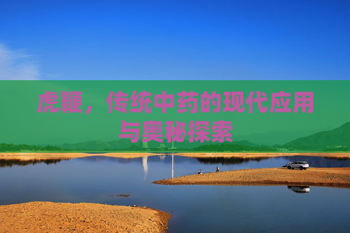虎鞭,传统中药的现代应用与奥秘探索 虎鞭,传统中药的现代应用与奥秘探索
