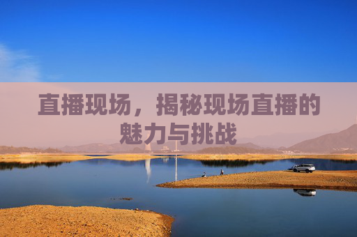 直播现场，揭秘现场直播的魅力与挑战