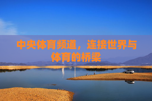 中央体育频道,连接世界与体育的桥梁 中央体育频道,连接世界与体育的桥梁