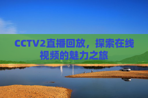 CCTV2直播回放，探索在线视频的魅力之旅