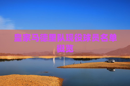 皇家马德里队现役球员名单概览