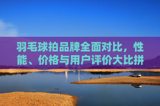 羽毛球拍品牌全面对比，性能、价格与用户评价大比拼