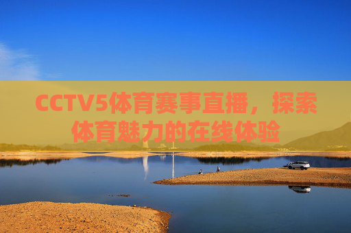 CCTV5体育赛事直播，探索体育魅力的在线体验