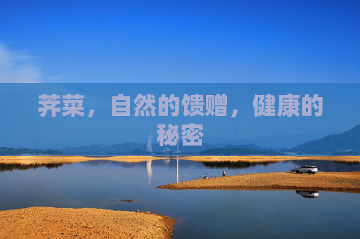 荠菜,自然的馈赠,健康的秘密 荠菜,自然的馈赠,健康的秘密