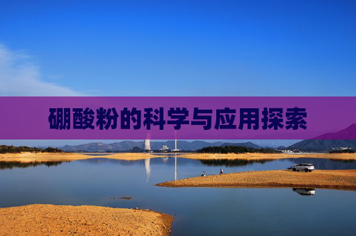 硼酸粉的科学与应用探索