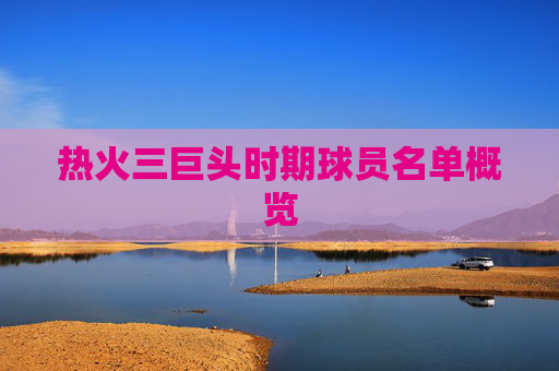 热火三巨头时期球员名单概览