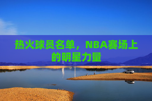 热火球员名单，NBA赛场上的明星力量