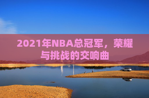 2021年NBA总冠军，荣耀与挑战的交响曲