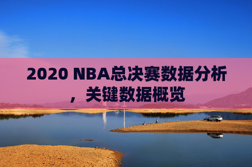 2020 NBA总决赛数据分析，关键数据概览