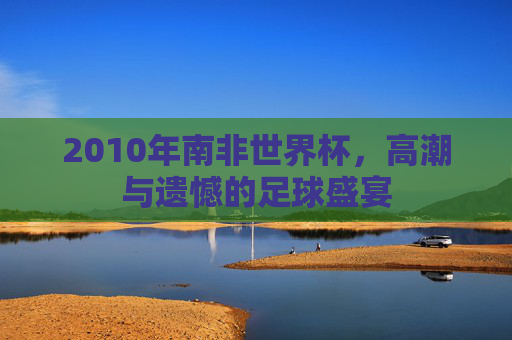 2010年南非世界杯，高潮与遗憾的足球盛宴