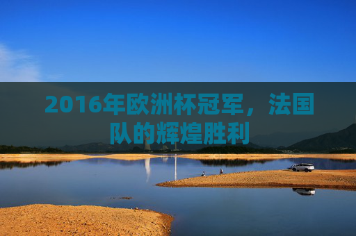2016年欧洲杯冠军,法国队的辉煌胜利 2016年欧洲杯冠军,法国队的辉煌胜利