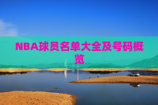 NBA球员名单大全及号码概览