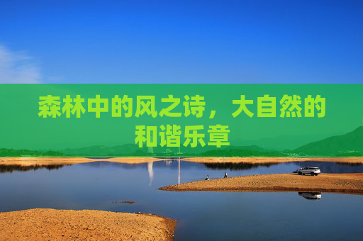 森林中的风之诗，大自然的和谐乐章