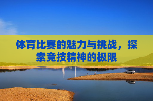 体育比赛的魅力与挑战，探索竞技精神的极限
