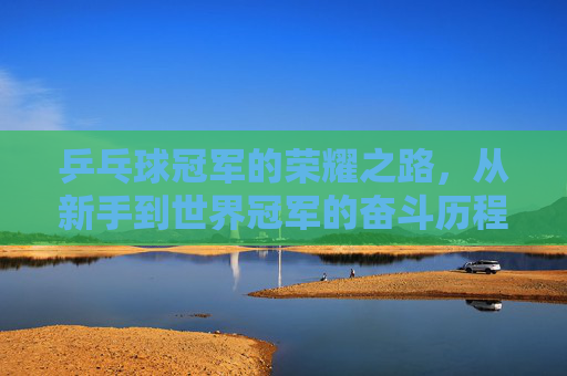 乒乓球冠军的荣耀之路，从新手到世界冠军的奋斗历程