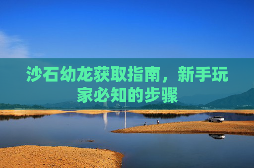 沙石幼龙获取指南，新手玩家必知的步骤