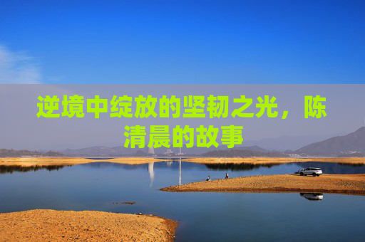 逆境中绽放的坚韧之光，陈清晨的故事