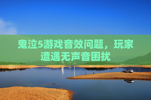 鬼泣5游戏音效问题，玩家遭遇无声音困扰