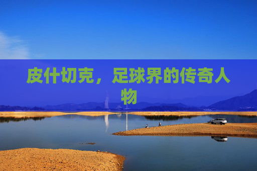 皮什切克，足球界的传奇人物