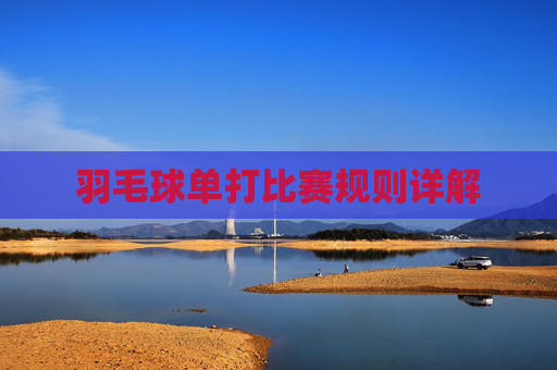羽毛球单打比赛规则详解